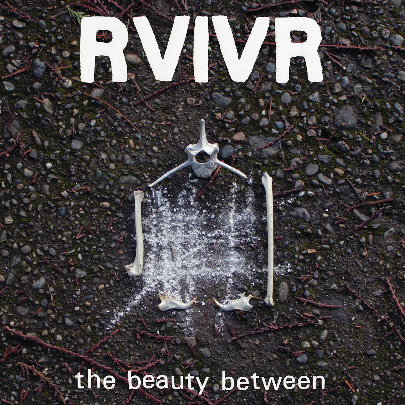 Rvivr - The Beauty Between - Black/Clear Vinyl - Music & Performance