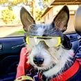 thumbnail image 4 of Dog Goggles, Eye Protection (New Version) for Small Dog Sunglasses Waterproof Windproof UV Protection for Doggy Puppy Cats (Yellow), 4 of 7