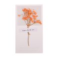 thumbnail image 1 of Carte de Vœux Fleur Séchée Charme de Noël Design Festif Idée Sentiments de Vacances Naturels, 1 of 5
