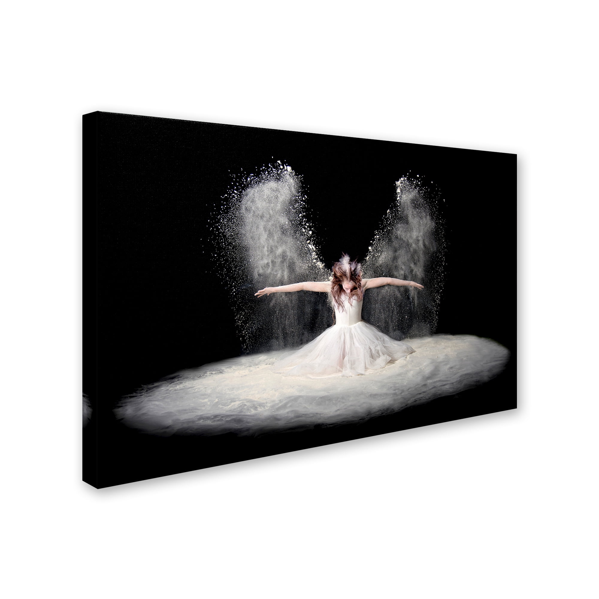 Pauline Pentony Ba 'Dust Wings' Canvas Art