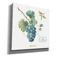 thumbnail image 2 of Epic Graffiti 'My Greenhouse Fruit III' by Lisa Audit, Canvas Wall Art, 26"x26", 2 of 8
