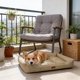thumbnail image 1 of Pisexur Suministros para mascotas Waterproof Antiskid Lint Rectangle Dog Bed Soft Comfortable Pet Mat House For Small Dogs And Cats Under 27.55lb Indoor Outdoor Cozy Restperros, gatos y animales, 1 of 6