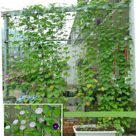 Garden Green Nylon Trellis Netting Support Climbing Bean Plant Nets