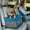 Heather Charcoal/Blue, variant on Kurgo Dog Booster Seats for Cars, Pet Weighing Under 30 lbs, with Belt Tether, Heather Charcoal/Blue