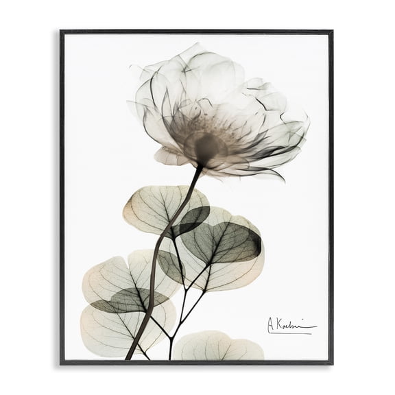 Stupell Industries Transitional Simple Elegant White Flower Black Framed Giclee Art, 11 x 14, by Albert Koetsier