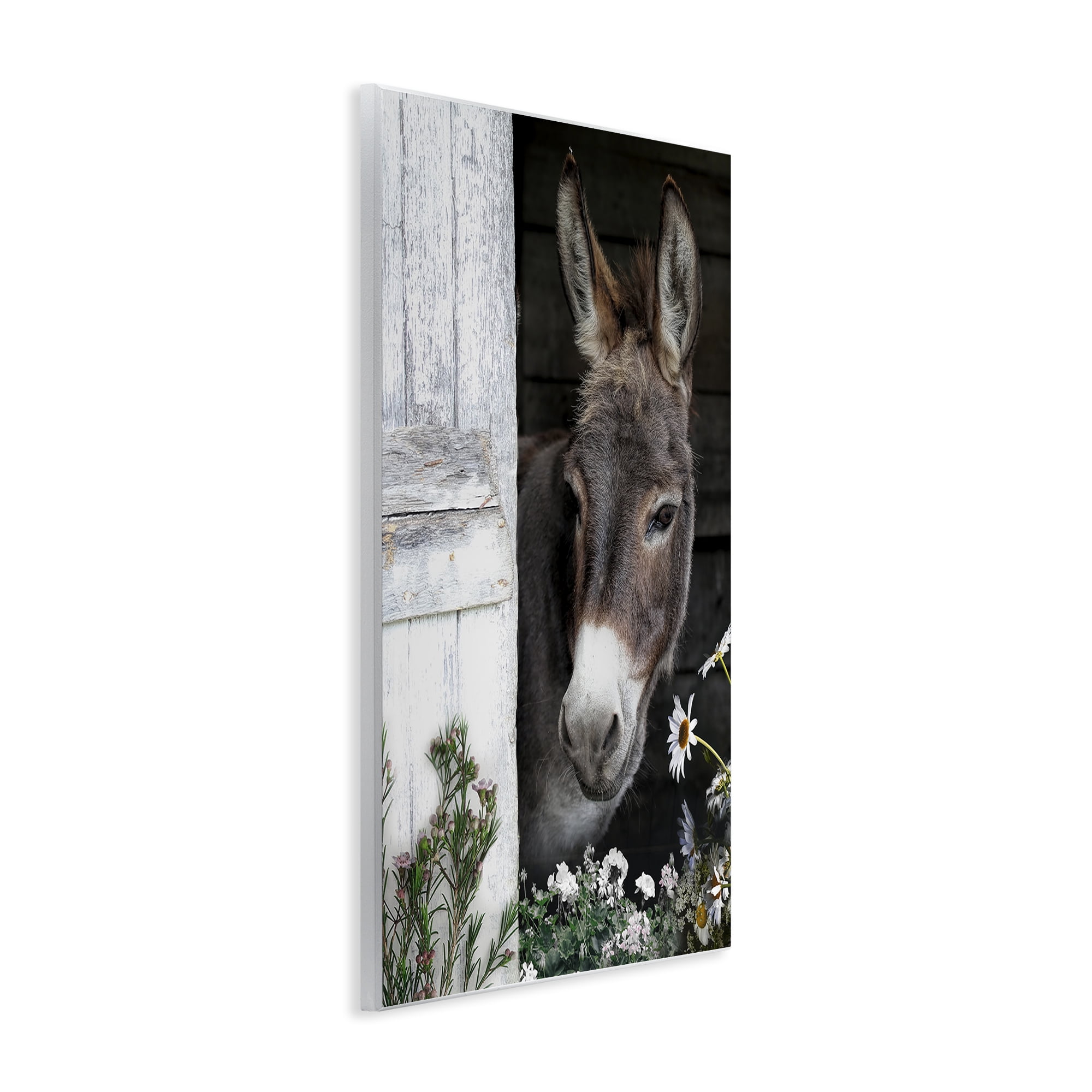 Stupell Industries Gentle Donkey Peering from Barn Wall Plaque Art, design by CAD Designs
