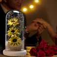 thumbnail image 5 of Girasol artificial de cúpula de cristal con tira de LED, un regalo de vacaciones para familiares y amigas. Ormromra CPB-YL623-3, 5 of 5