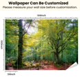 thumbnail image 3 of Peel and Stick Wallpaper Selva de Irati Navarra Pyrenees autumn beech forest Modern Art Wall Mural Decor Self Adhesive and Removable 100in x 144in, 3 of 8