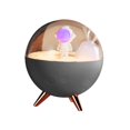 thumbnail image 2 of Humidificador de 2 piezas, lámpara de noche, accesorios de escultura para decoración de sala de estar Baoblaze Humidificador de aire, 2 of 7