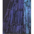 thumbnail image 3 of ANDY WARHOL Koln Cathedral Blue, 1993, 3 of 4
