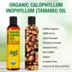 thumbnail image 2 of Aceite de tamanu Seven Minerals 240 ml (8 oz), orgánico, prensado en frío por el USDA, 2 of 5