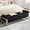 Velvet Black, variant on End of Bed Storage Bench, 67'' Benches for Bedroom Foot of Bed King Size, Upholstered Velvet Tufted Storage Ottoman Bench with Gold Legs for Window Living Room Entryway, Grey