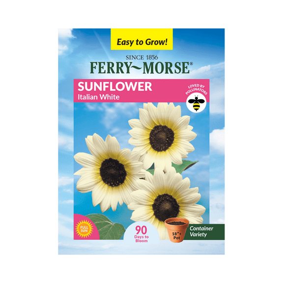 Ferry-Morse 700MG Sunflower Italian White Annual Flower Seeds, Full Sun
