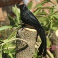 thumbnail image 4 of AJKSFHIU Halloween Crow Decorations,Realistic Handmade Crow Black Feathered Crow,Halloween Crows and Ravens Decor,Scary Black Ravens Birds for Outdoors and Indoors Halloween Decor, 4 of 6