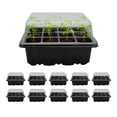 thumbnail image 1 of Charola de Germinación Redlemon con Tapa 12 Compartimentos Invernadero 10Pz, 1 of 7
