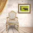thumbnail image 3 of Illg, Cathy and Gordon 32x23 Gold Ornate Wood Framed with Double Matting Museum Art Print Titled - Colorado, Rocky Mts, moose cow standing in grass, 3 of 4