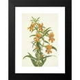 thumbnail image 2 of Mary Vaux Walcott 11x14 Black Modern Framed Museum Art Print Titled - Buff Monkeyflower. Diplacus Longiflorus (1925), 2 of 5