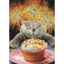 Avanti Press Cat With Sparkler Cake Funny / Humorous Birthday Card