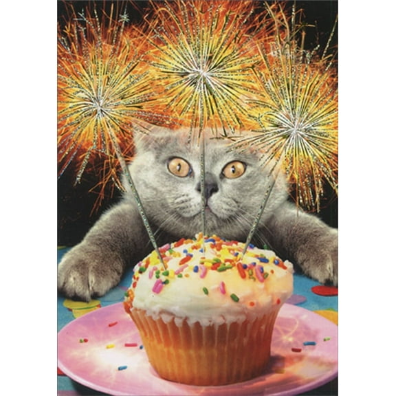 Avanti Press Cat With Sparkler Cake Funny / Humorous Birthday Card