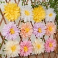 thumbnail image 4 of Dalrosia Daisy Tissue Paper Pom Poms, Wildflower Party Decorations, Premium Paper Flowers Decorations for Wall, 1st Birthday, Baby Shower, Wedding, Wall Classroom, Nursery Decor, 4 of 5