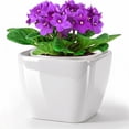 thumbnail image 6 of EFISPSS Self Watering Planters for Indoor Plants : 6 inch White Square Ceramic African Violet Self Watering Flower and Herb pots, 6 of 10