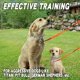 thumbnail image 4 of Collar de entrenamiento con puntas para perros, collar de estrangulamiento para perros ajustable y desmontable, collar de entrenamiento ajustable de metal para mascotas de perros, 4 of 5