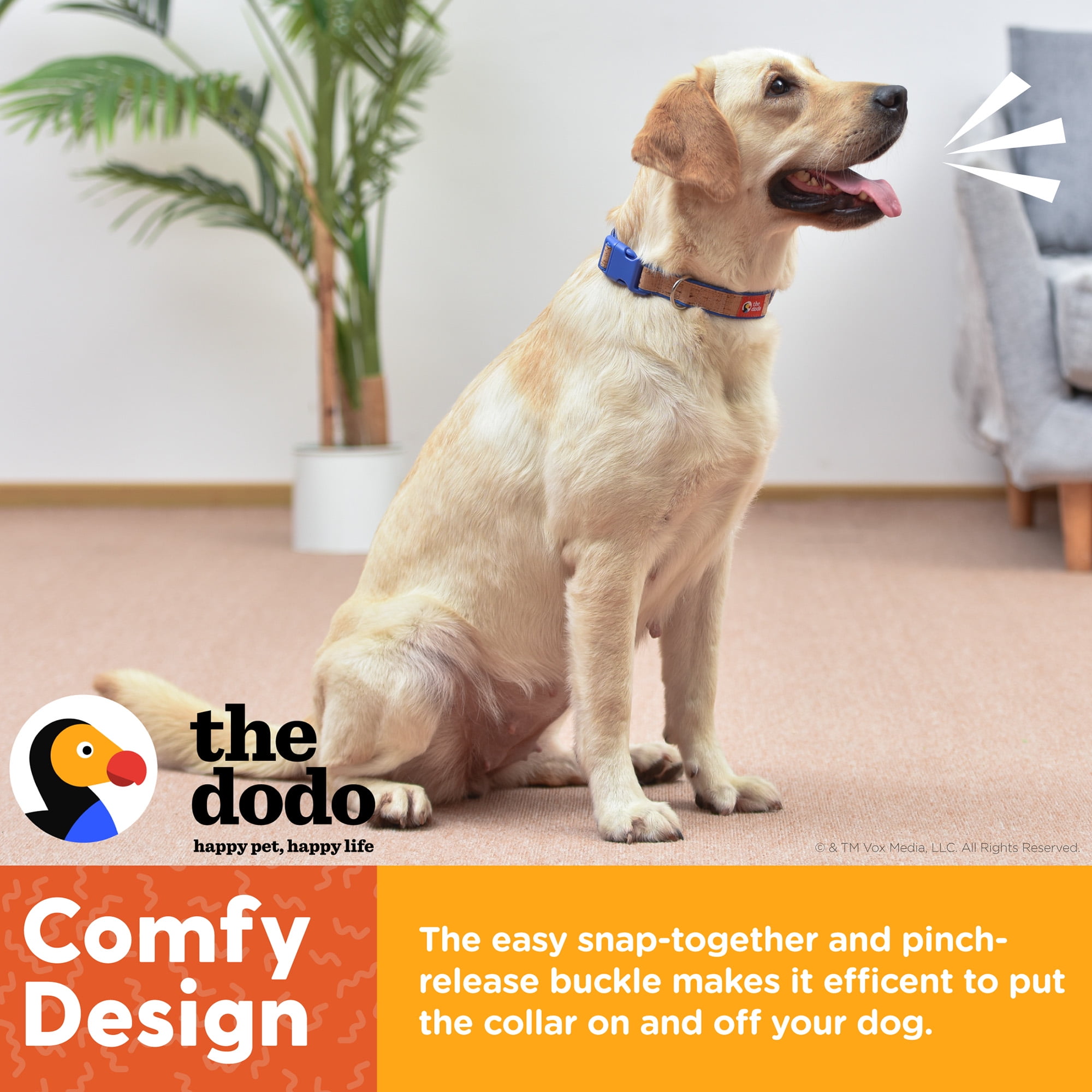 The Dodo Cork Dog Collar, Striped, Medium, Easy Snap Buckle