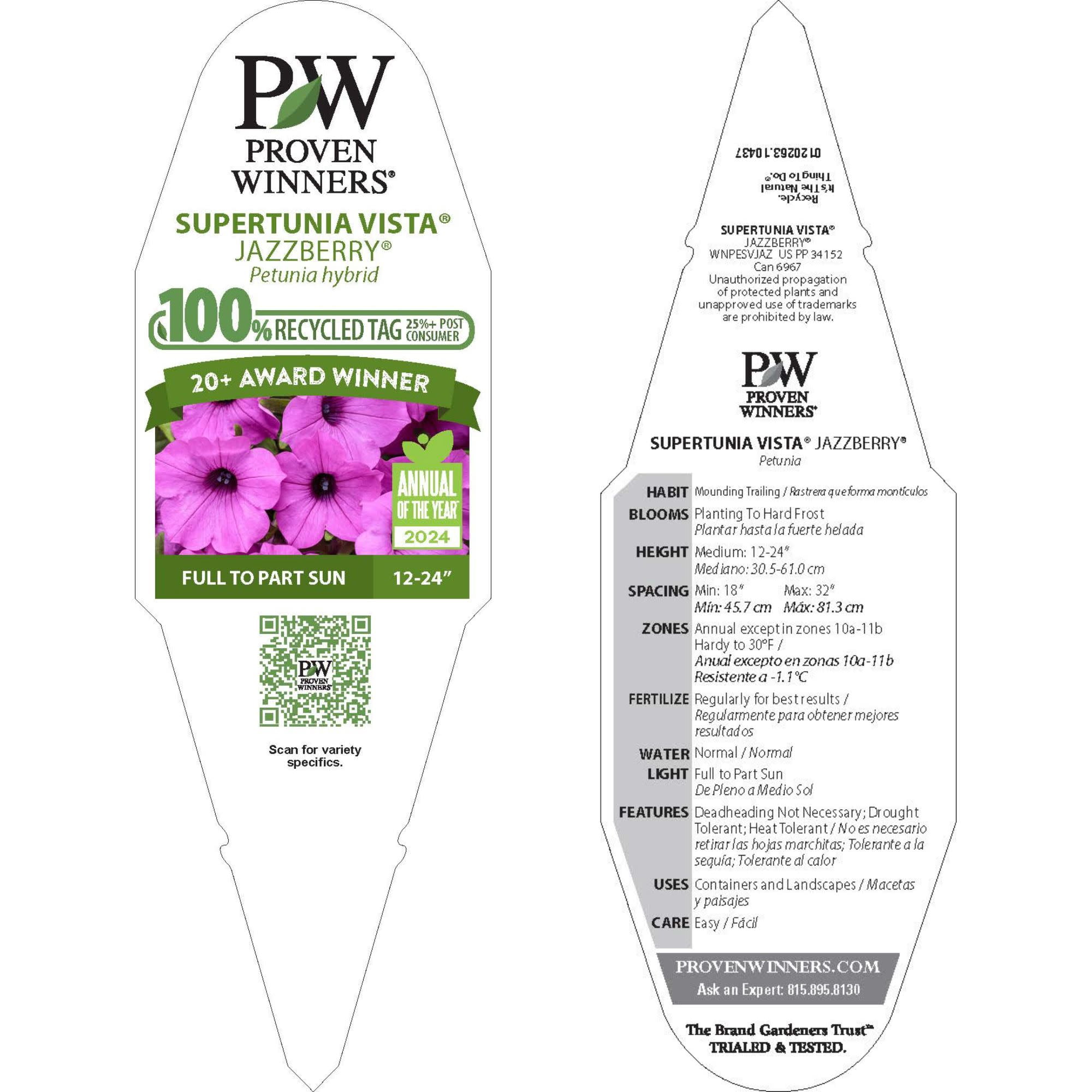 Proven Winners 4" Purple Supertunia Vista Jazzberry Petunia Live Plant in 4.25" Pot (4 Count)