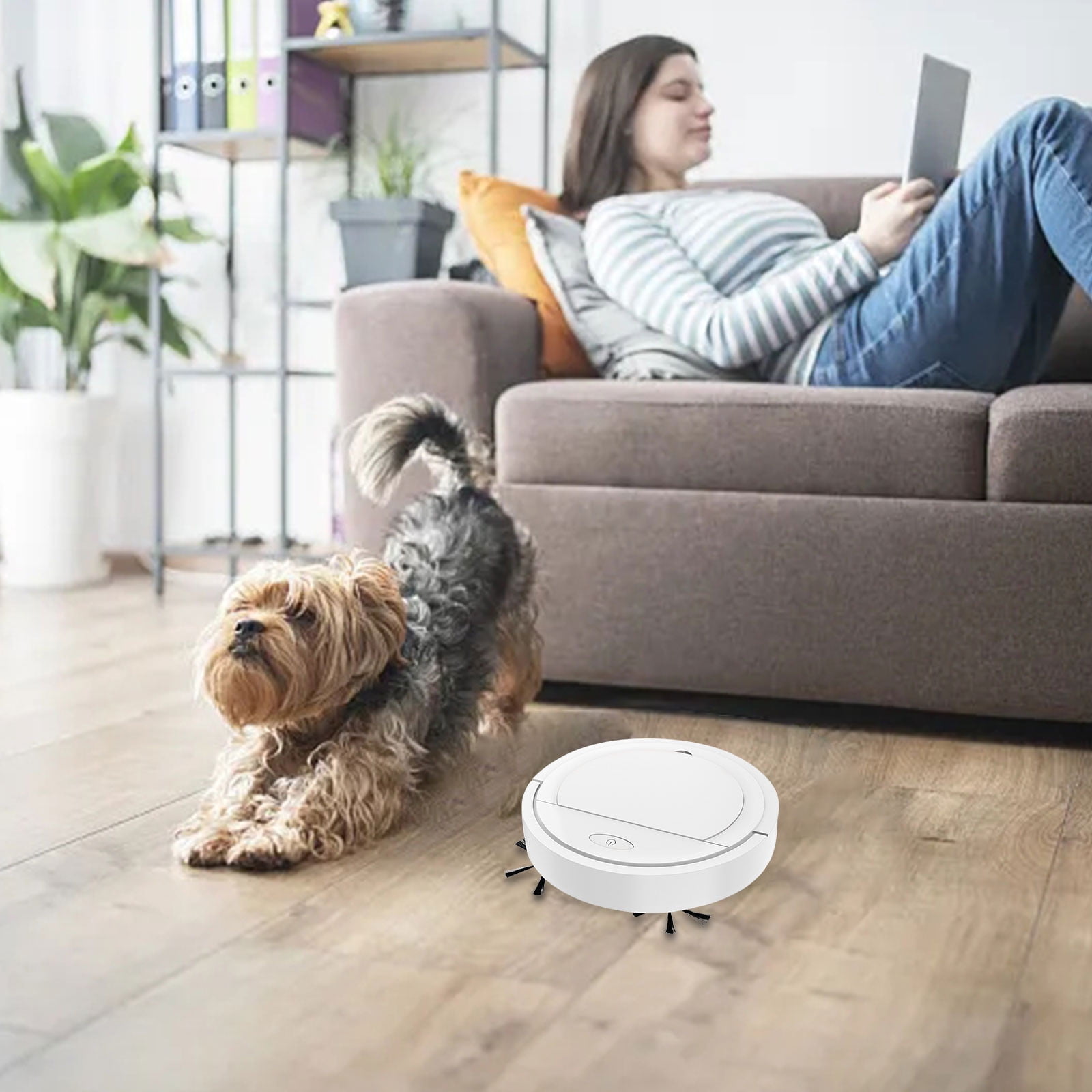 Discount Qaailabf Sweeping Robot Automatic Household Lazy