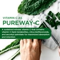 thumbnail image 3 of Emerald Labs Men's 1-Daily Multi - Multivitamin with Methylated Folate, Extra Zinc and Lycopene to Support Healthy Prostate, Energy Levels, Bone Strength - 60 Vegetable Capsules, 3 of 7