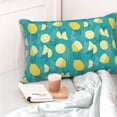 thumbnail image 4 of Gaeub Lemon Blue Print Double Sided Plush Decorative Throw Pillow Cover, Sofa Cushion Cover, Plush Cushion Cover，Excluding Pillow Core-14"x20", 4 of 6