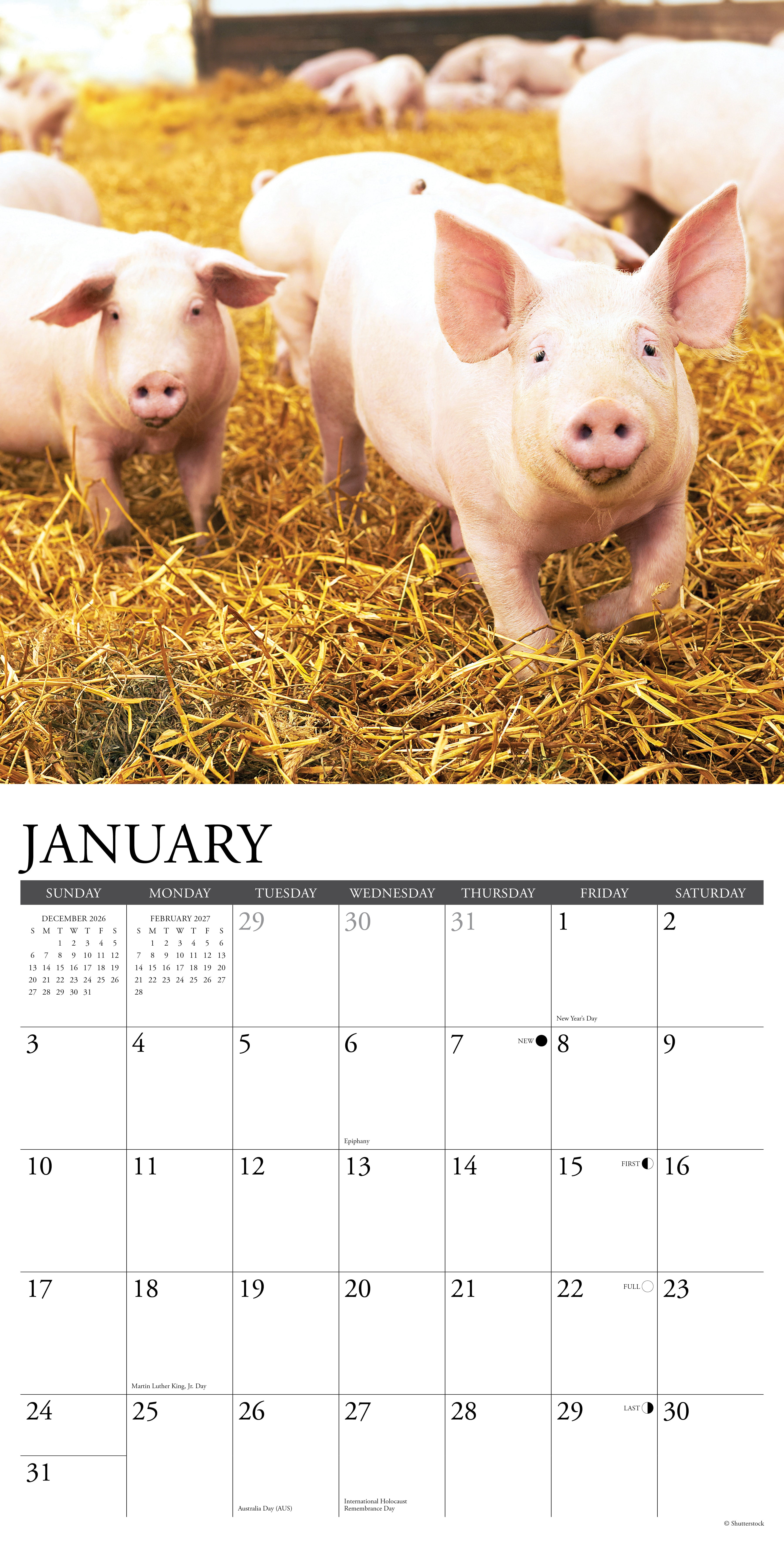 Willow Creek Press, Around the Farm 2027 Wall Calendar