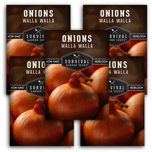 5 Packs Walla Walla Onion Seeds - Non-GMO Heirloom Full Sun Biennial Vegetable