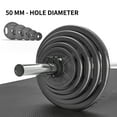 thumbnail image 5 of PROIRON Cast Iron Olympic Plate 10Lb, Pair, 5 of 7