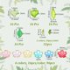 thumbnail image 2 of Kit de 192 piezas de cuentas acrílicas con forma de hojas y flores en colores surtidos para hacer bisutería. Incluye tapas para cuentas de flores y un juego de cuentas acrílicas surtidas., 2 of 5