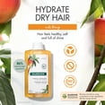 thumbnail image 3 of Champú Klorane Nutritivo con Manteca de Mango 400 ml, 3 of 6
