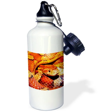 

3dRose Corn snake. Popular image. Sports Water Bottle 21oz