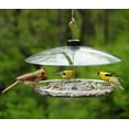 thumbnail image 3 of Droll Yankees Covered Platform Feeder, 3 of 3