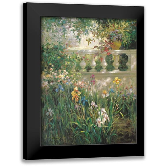 Oxley, Vail 12x14 Black Modern Framed Museum Art Print Titled - Iris Shadows