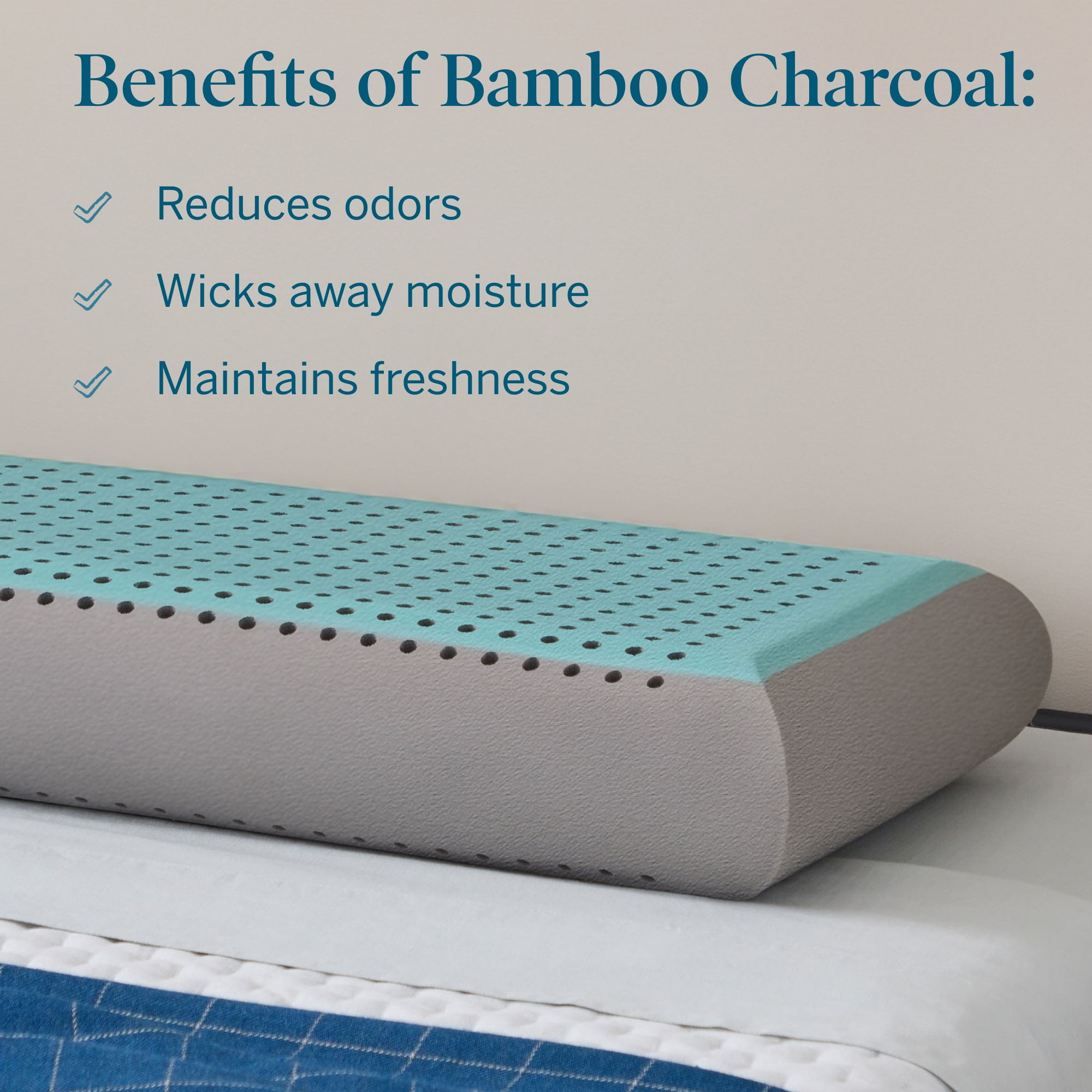 Bamboo charcoal pillow benefits hotsell