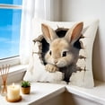 thumbnail image 6 of Djunllk Pillow Covers 18x18, Spring & Easter Cozy & Breathable Holiday Home Farmhouses Decorative Pillowcases, 6 of 6