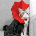thumbnail image 5 of Small Dog Cat Vampire Cloak Costume Black Red Pet Halloween Cape for Small Medium Dogs Cats Puppy Cosplay Clothes Kitty Apparel (Red,one size), 5 of 6