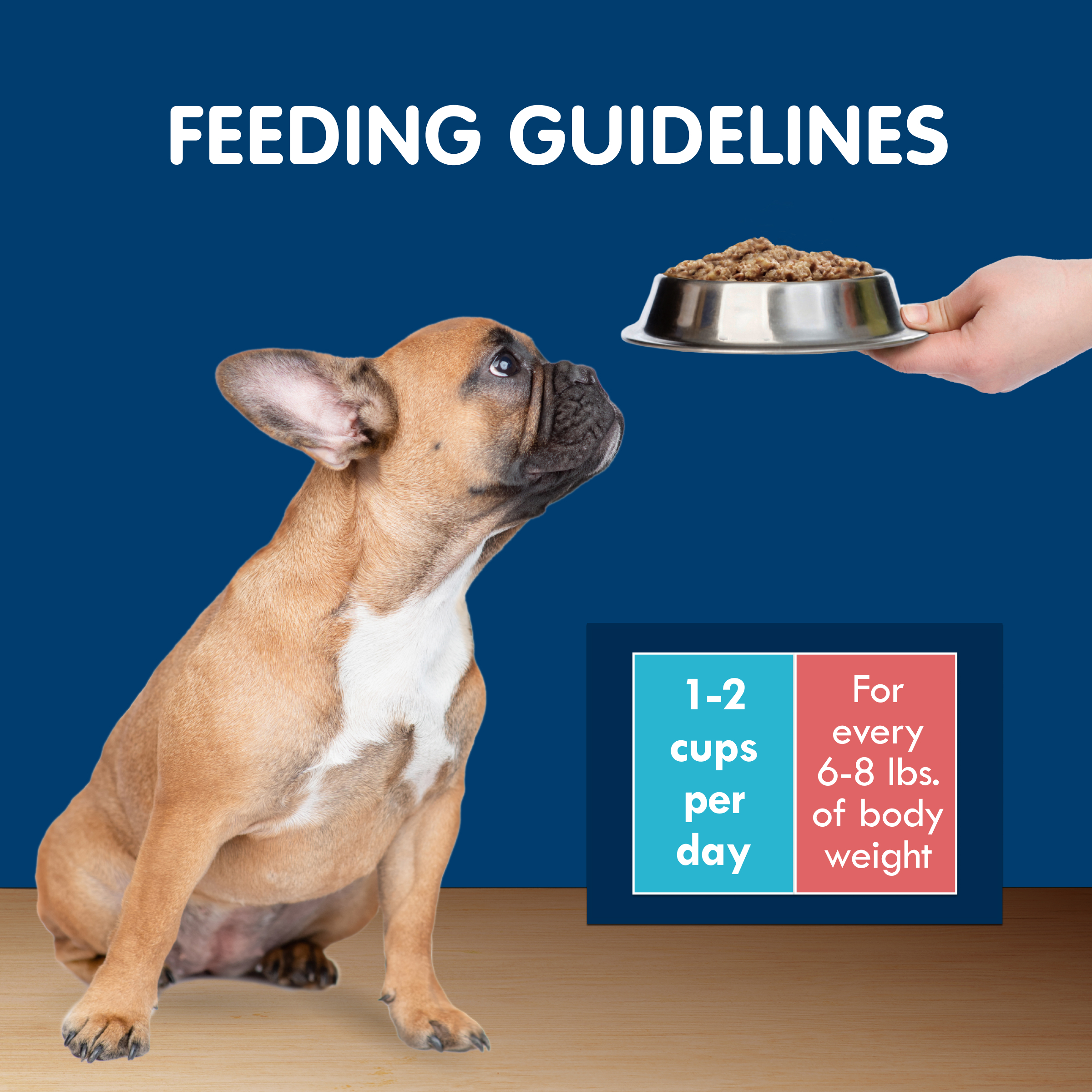 Blue Buffalo Delights Small Breed Wet Dog Food Variety, 3.5 oz, 24-Pack photo 4
