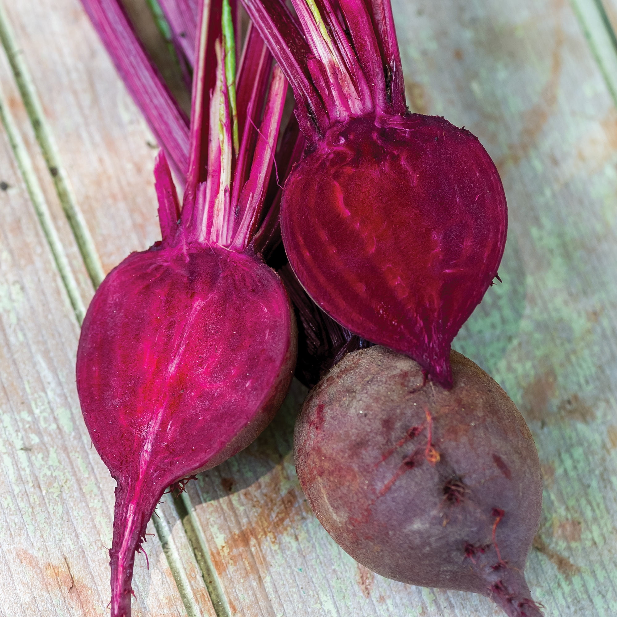 Burpee Medium Top Detroit Dark Red Beet Seeds - Non-GMO, Easy to
