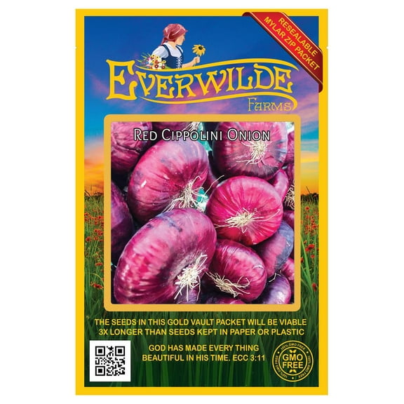 Everwilde Farms - 200 Red Cippolini Onion Seeds - Gold Vault Jumbo Bulk Seed Packet