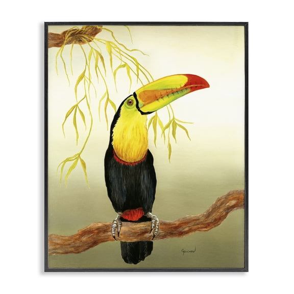 Stupell Industries Traditional One Toucan on Branch Black Framed Giclee Art, 11 x 14, by Christine Reichow