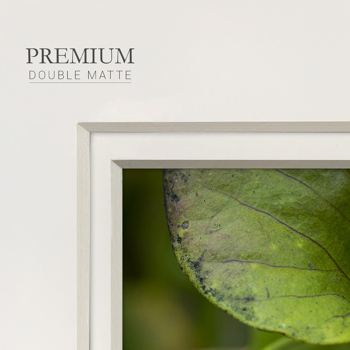 Arboreal RefugePremium Framed Print