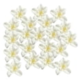 thumbnail image 3 of veasfak Têtes de Fleurs Embellissements, 3 of 7