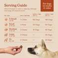 thumbnail image 4 of Probióticos para Perro Fera Pets 30 Gomitas Blandas – Salud Intestinal, 4 of 9