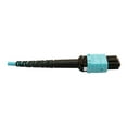 thumbnail image 4 of Eaton Tripp Lite Series 400G Multimode 50/125 OM4 Plenum Fiber Optic Breakout Cable 24F MTP/MPO-PC to x4 LC Duplex F/M Aqua 1 m N846D01M24CAQ, 4 of 4